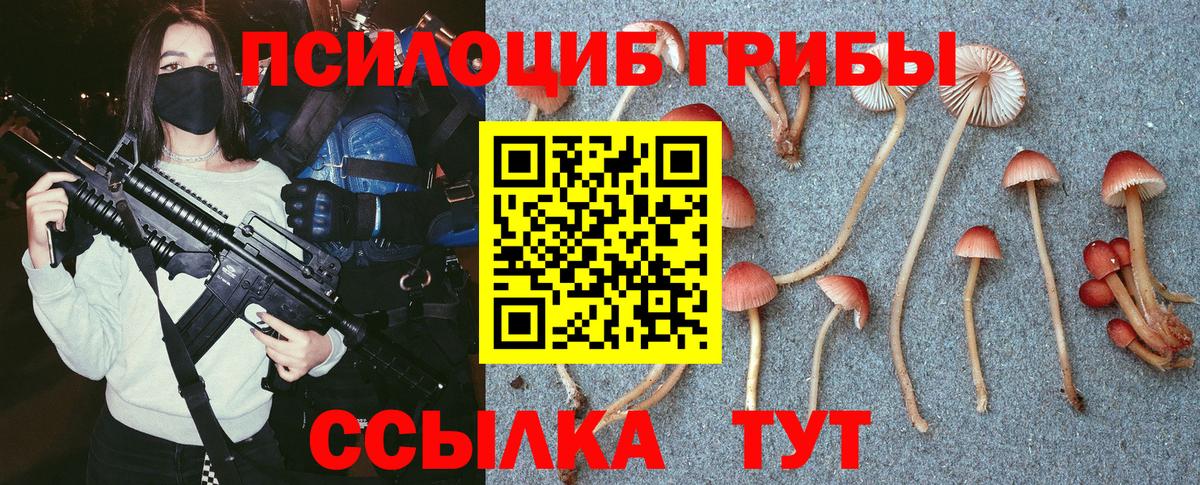 Псилоцибиновые грибы Cubensis  Вход с VPN  Унеча 