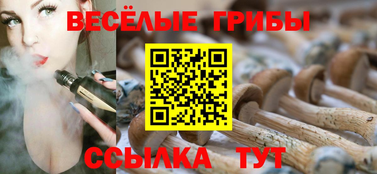 Галлюциногенные грибы GOLDEN TEACHER Унеча