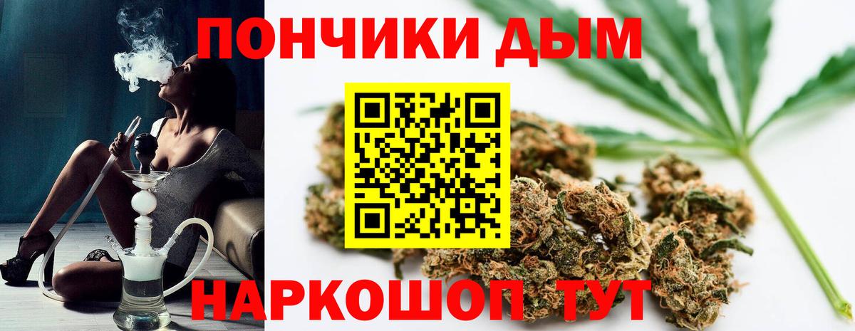 Бошки Шишки конопля  Вход с VPN  Унеча  Бошки Шишки Bruce Banner  МАРИХУАНА индика 